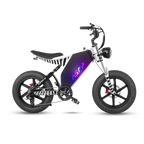 ASAP Zebra 1000W Electric Bike