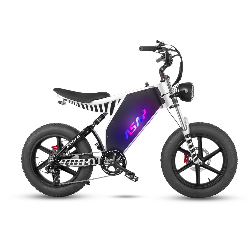 ASAP Zebra 1000W Electric Bike